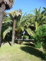 Italie  Province de Bordighera 450m�