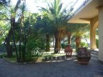 Italie  Province de Bordighera 450m�