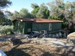 Italie  Province de Bordighera 450m�